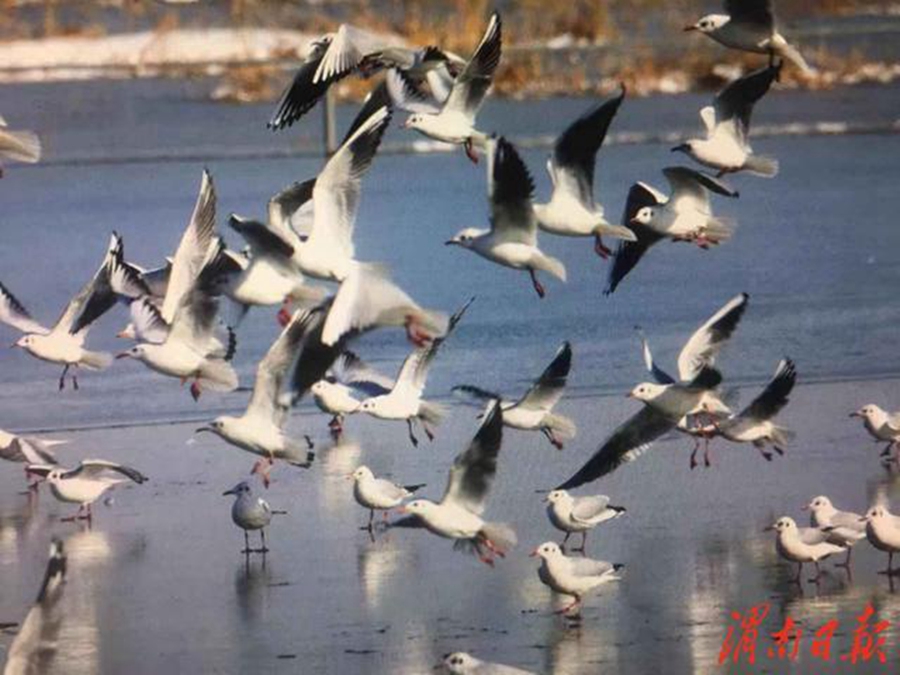 3月份渭南哪里旅游最好,2022年5月渭南旅游