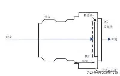 新手入门单反微单推荐,选单反相机还是微单相机好