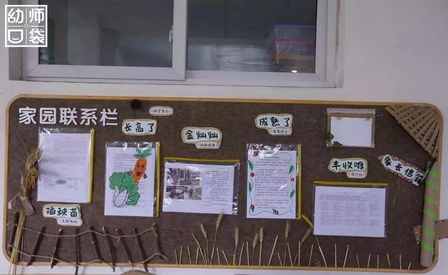 特色幼儿园活动区,高端幼儿园特色活动