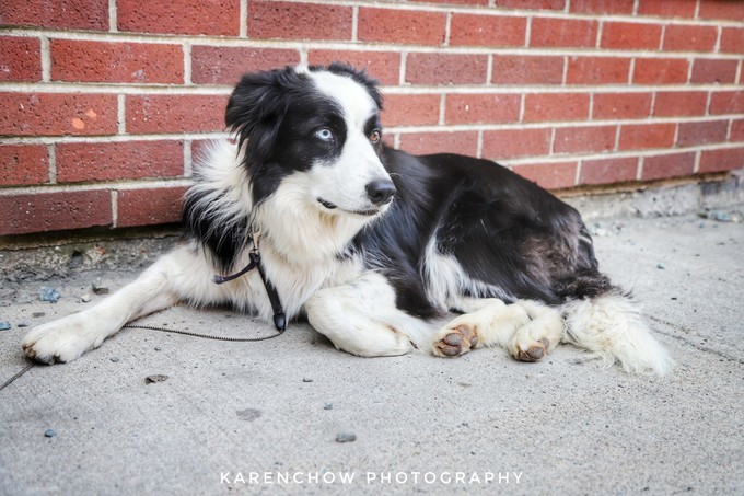 加拿大小众旅游目的地,加拿大纽芬兰自驾旅游