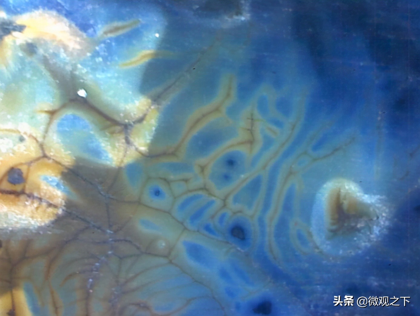 瓷器识别基础知识,瓷器微观鉴定视频教程