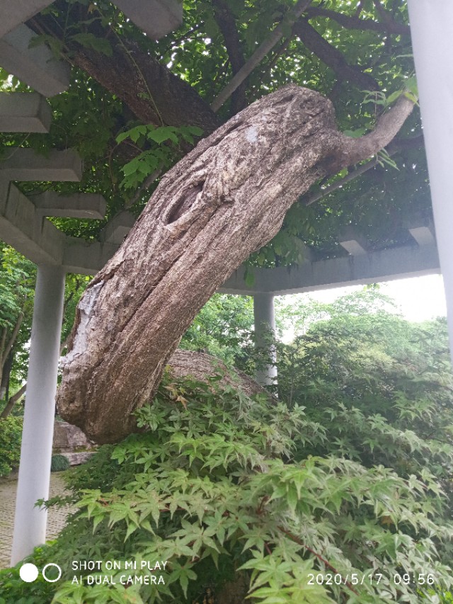 芒种种出新希望,芒种和幸福播种