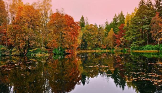 张河峰郑州,丰县张河峰
