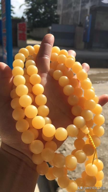 真假金丝砗磲对比照片,紫光灯照白砗磲的真假鉴别