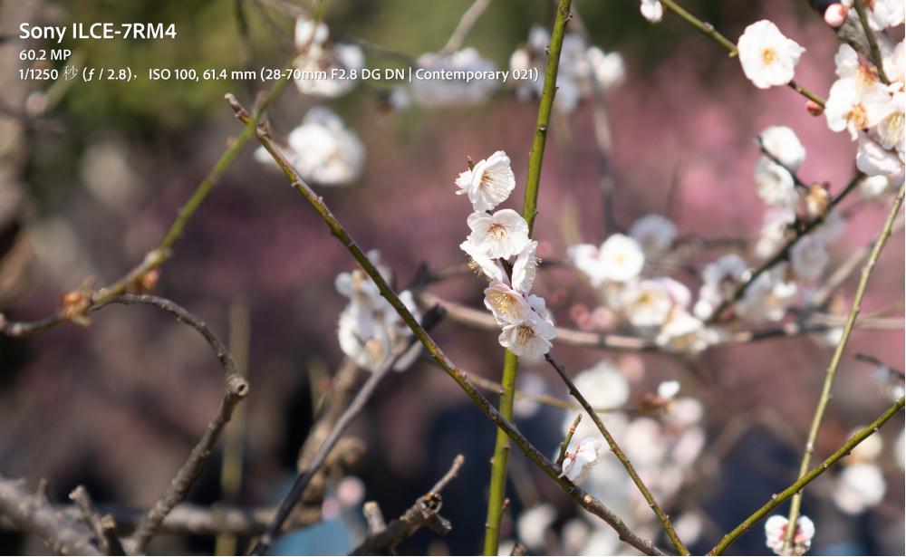 适马24-702.8二代镜头测评,适马新出的24-702.8镜头怎样