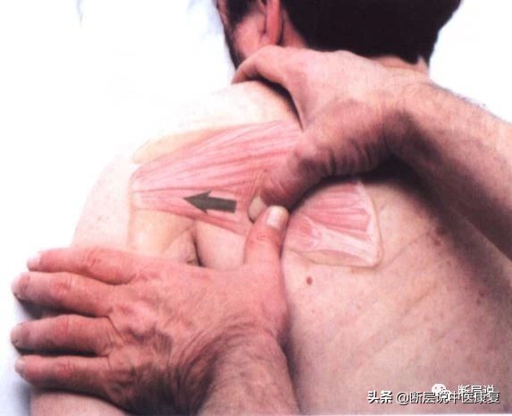 肩膀处抬不起,肩膀抬不起来感觉卡住了