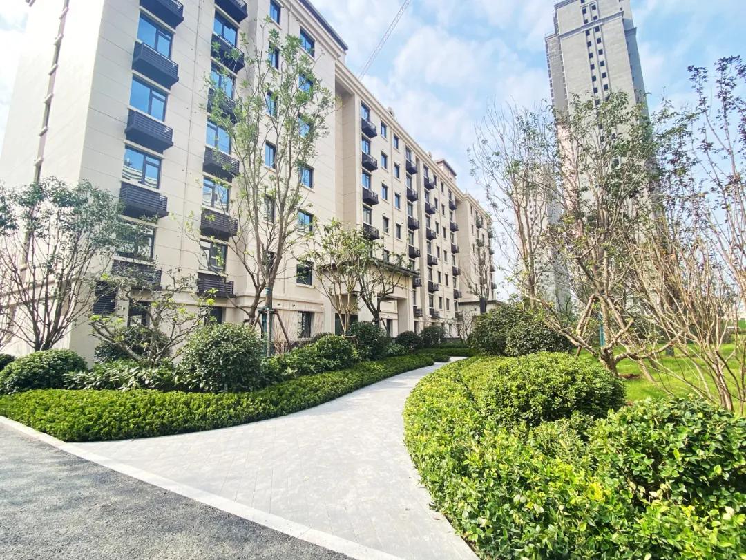 被市场深刻教育的开封购房者们，是否真的还有明天？