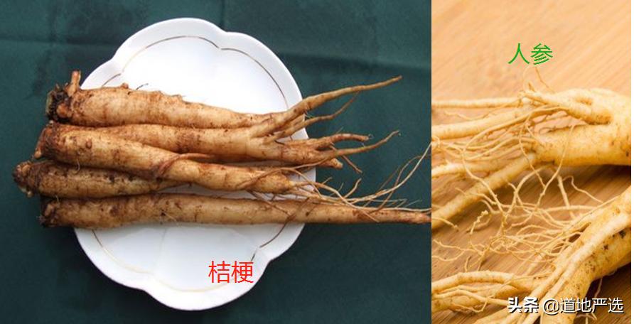 怎么鉴别人参是真是假,如何判断人参的真假和质量