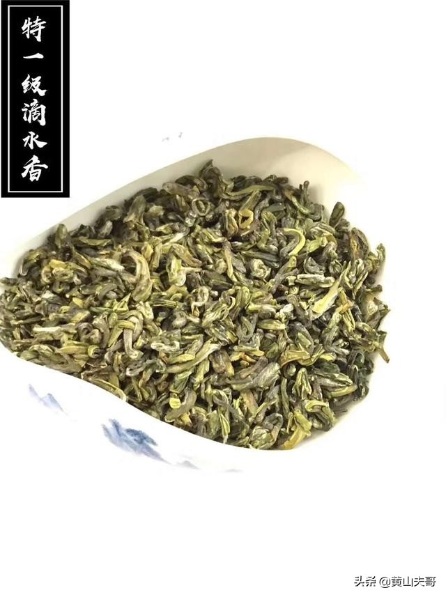 茶中翡翠，歙县滴水香——一颗蒙尘在北纬30°线上的黄山明珠