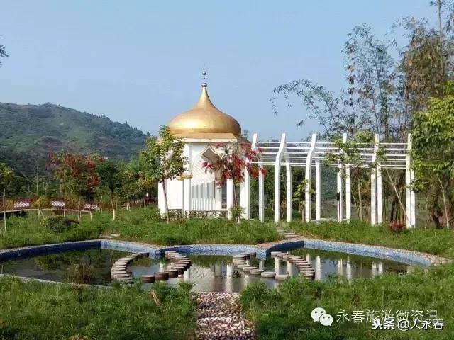 有一种生活叫永春湖洋,有一种生活叫永春夜景