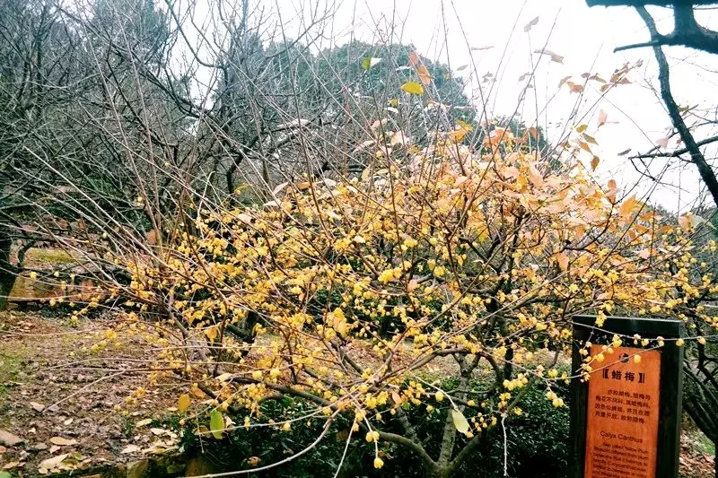 客厅卧室持久留香的香水,家里适合放什么香水