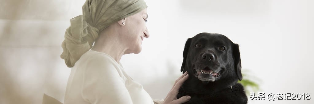 美国延寿药,延寿药言颐养篇全文