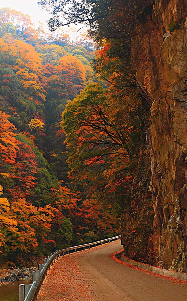 巴中光雾山红叶的最佳时间,红叶谷打卡地