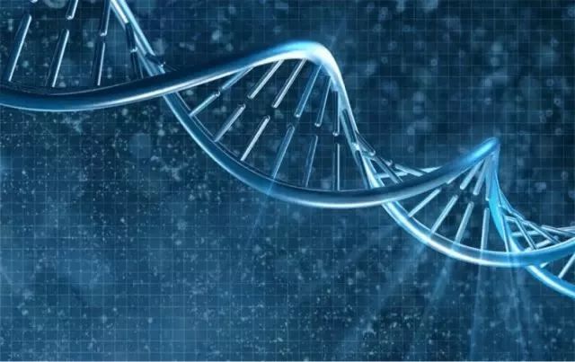 瞬变的方法,瞬变变装教学