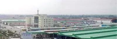 中国蔬菜新鲜批发,中国蔬菜批发市场