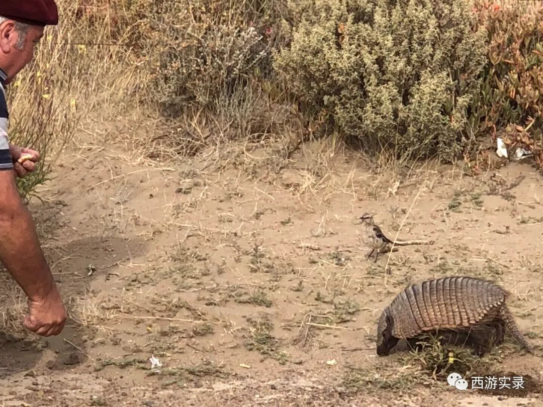 史上最牛沪C开到了世界尽头