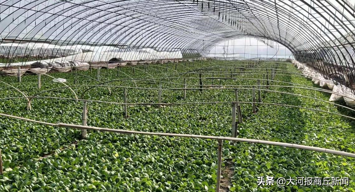 防疫情与安全生产两手抓,抓生产两不误防疫