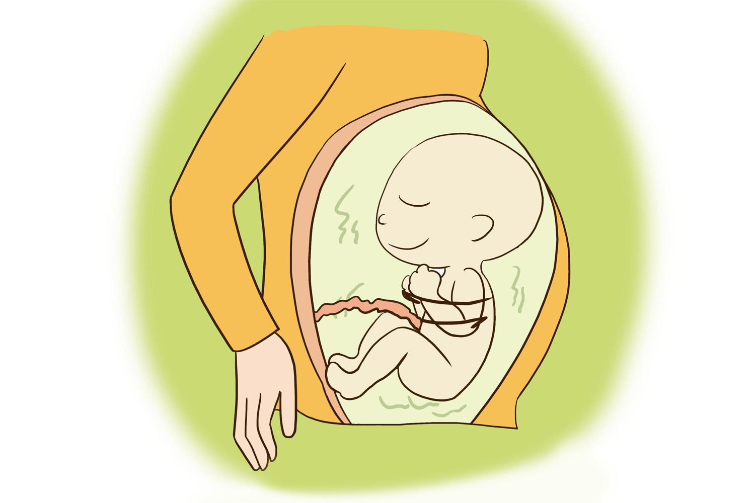 胎儿七活八不活是怎么回事,为什么说胎儿七活八不活