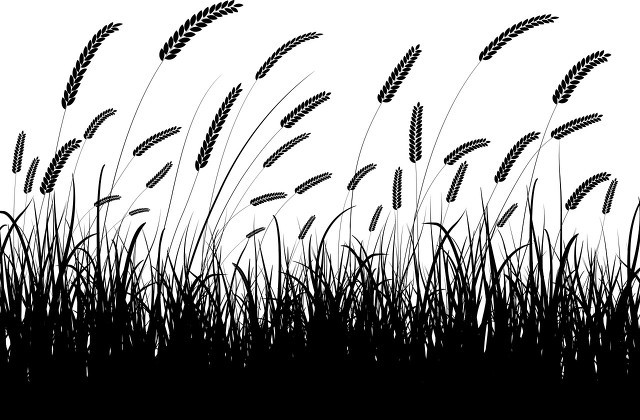 小窗幽记第一篇原文,小窗幽记集醒篇全文