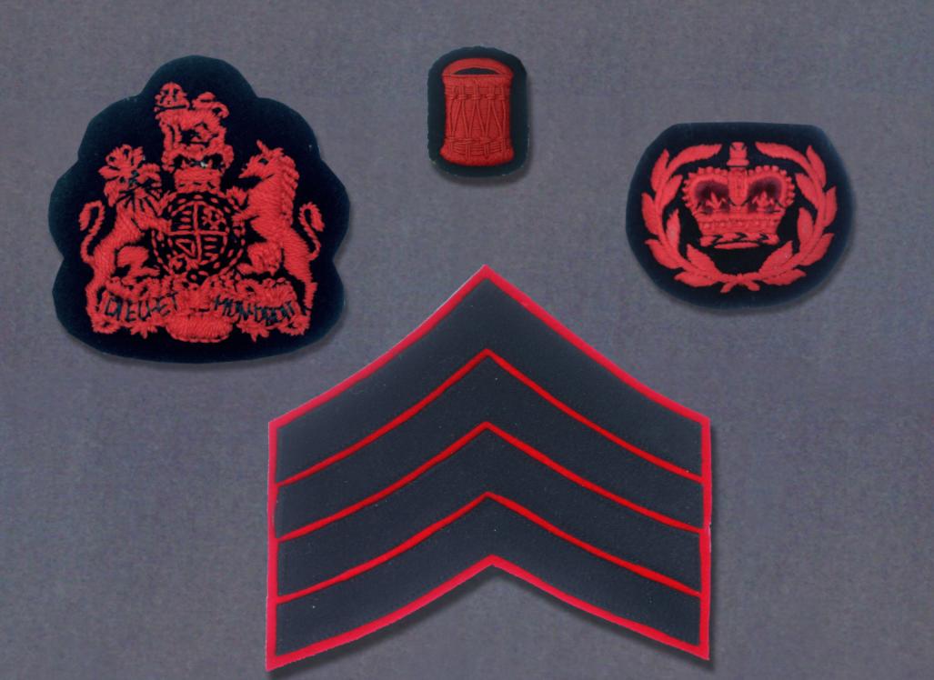 英国皇家卫队军衔图片,英国皇家5个步兵团