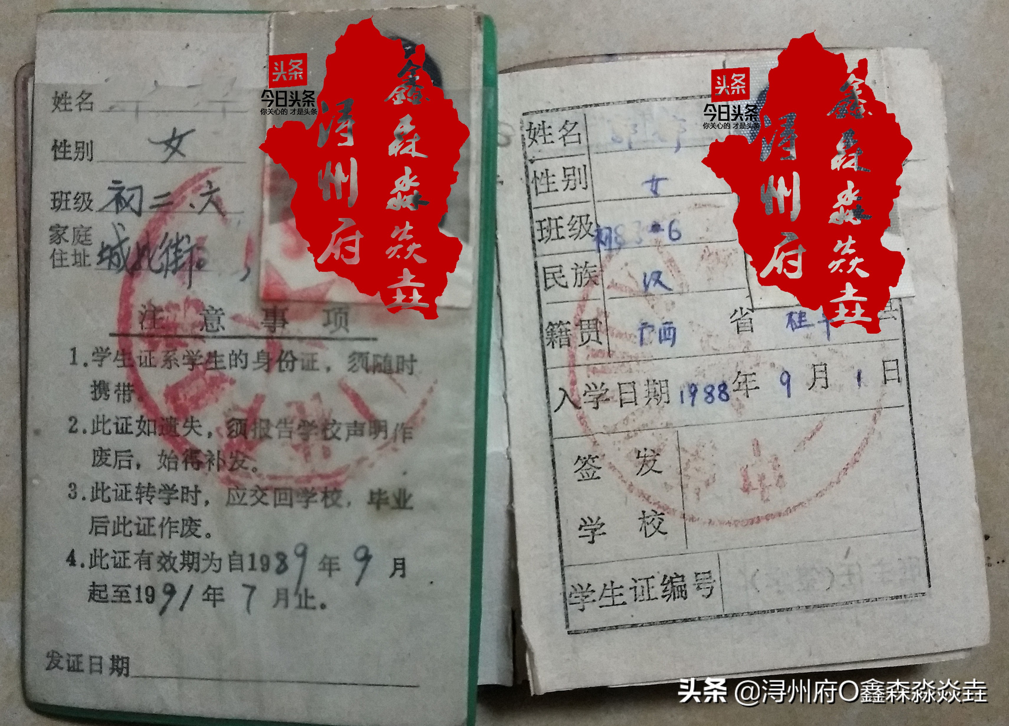 桂平浔州高中校友录,桂平市第一中学知名校友