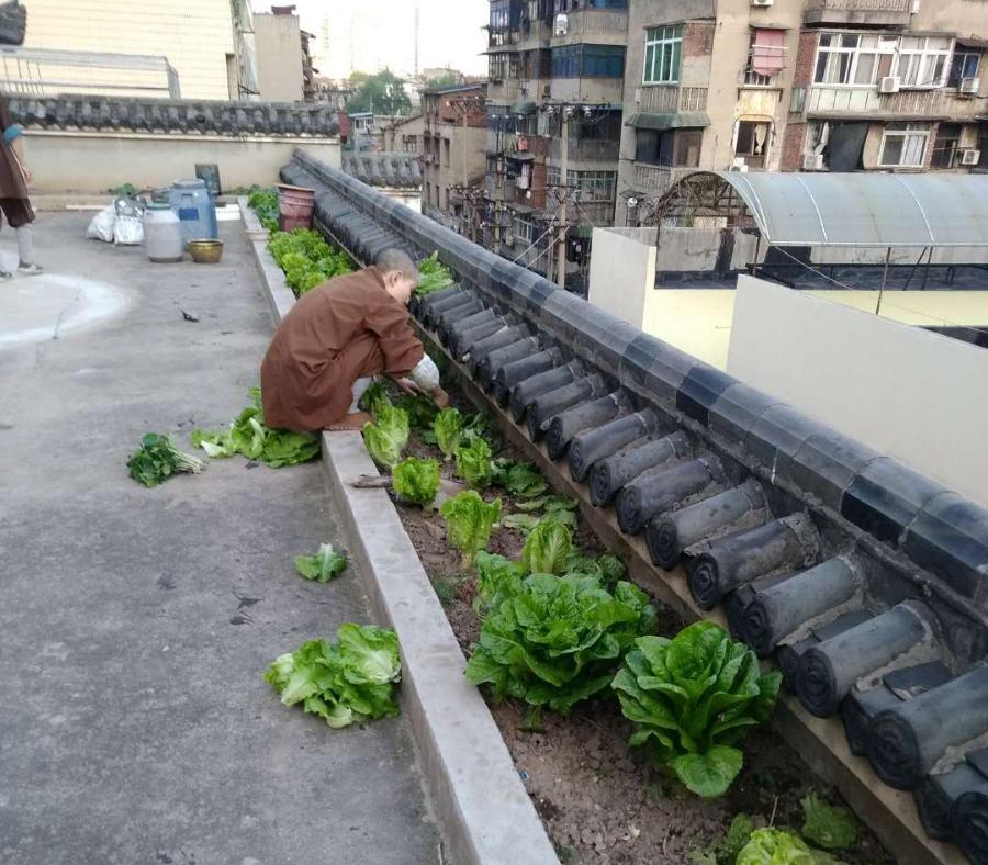 抢抓农时开展农业生产,农民纷纷抢抓春耕生产有利时机