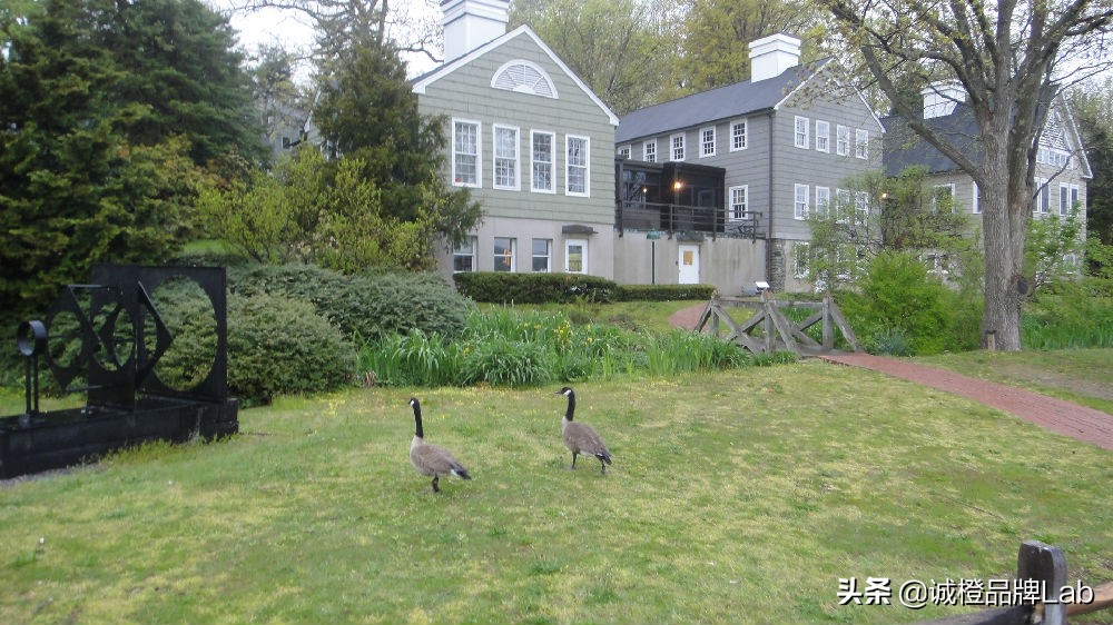 未来的产业园发展,未来科技产业园在哪个地方