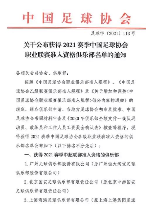 金元足球最大的缺点,江苏金元足球队