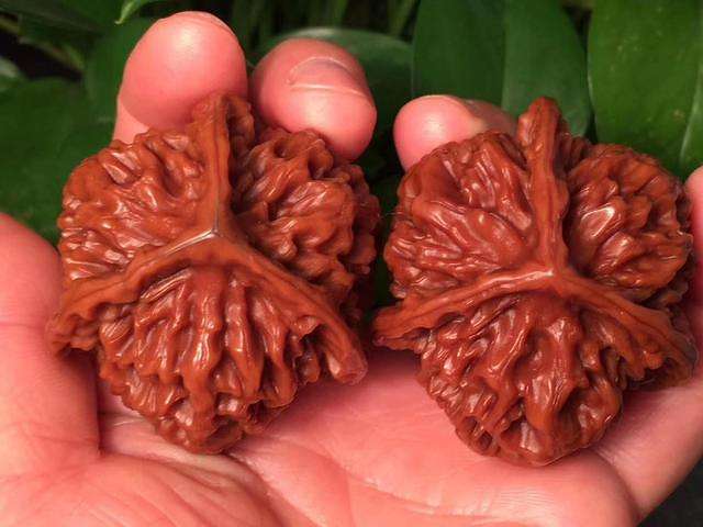 把玩核桃纹路很尖刺的是什么核桃,文玩核桃纹路是如何划分的