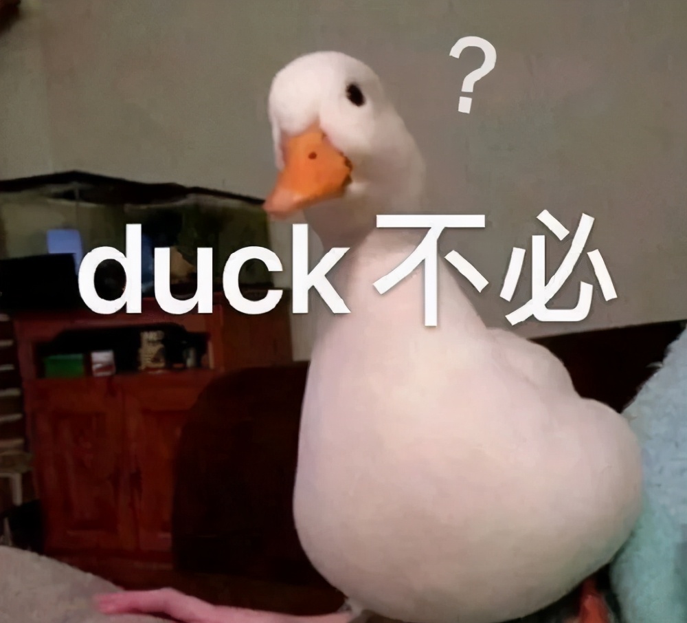 那些年留学生在海关被没收的东西,留学生被海关没收的东西