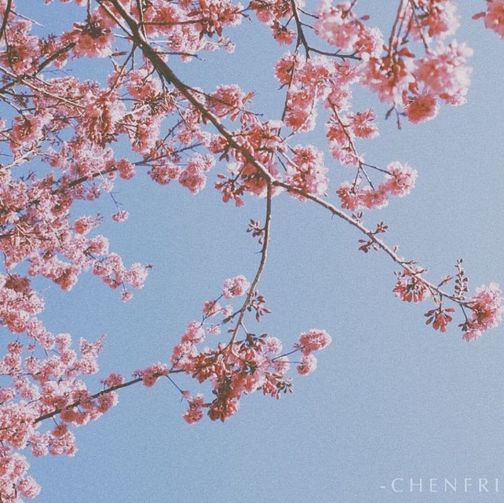 有趣的锁骨千篇一律,好看有趣的锁骨