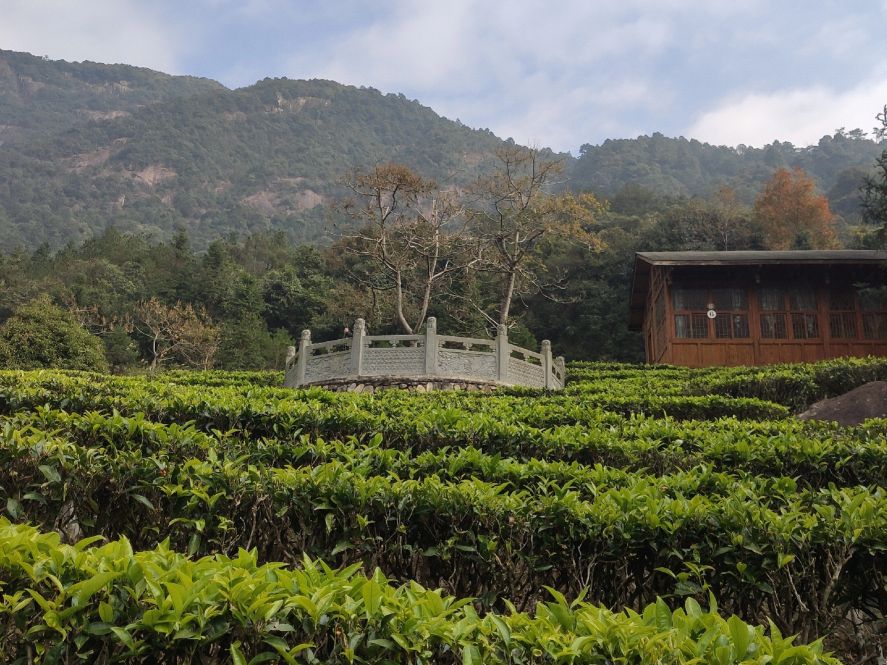 广西贺州姑婆山游玩攻略,广西贺州姑婆山附近旅店