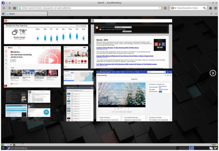 适合linux系统的软件哪里下载,linux极简史发行版