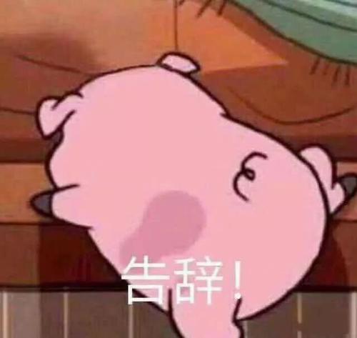 氨基酸洗面奶有什么缺点,十大氨基酸洗面奶实测