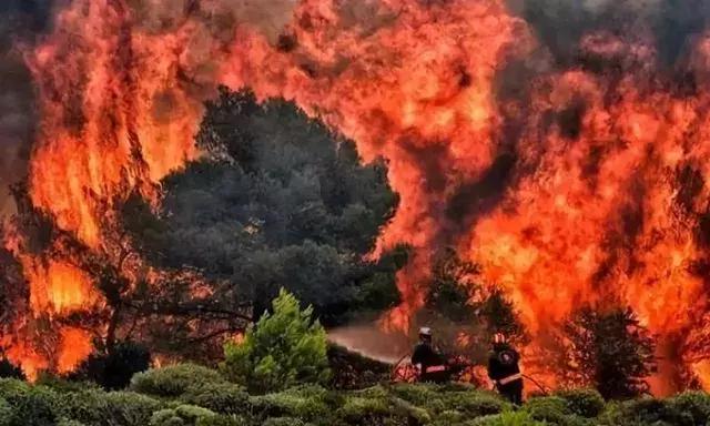 人类面临的生态困境包括哪,生态农业的可能性以及前景