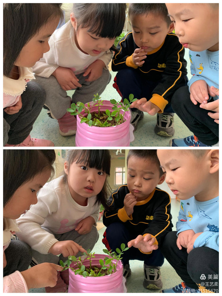 小角落大自然介绍,幼儿园大自然的奥秘主题墙创设