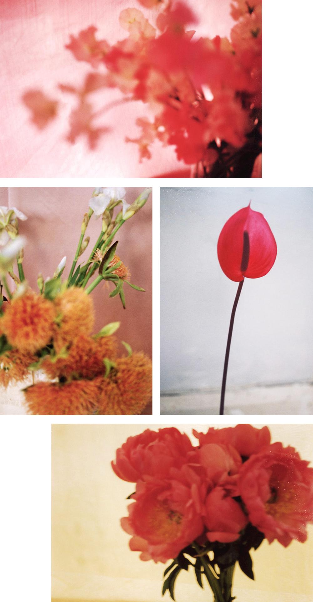 春季限定美妆,18春季美妆大牌新品风向标