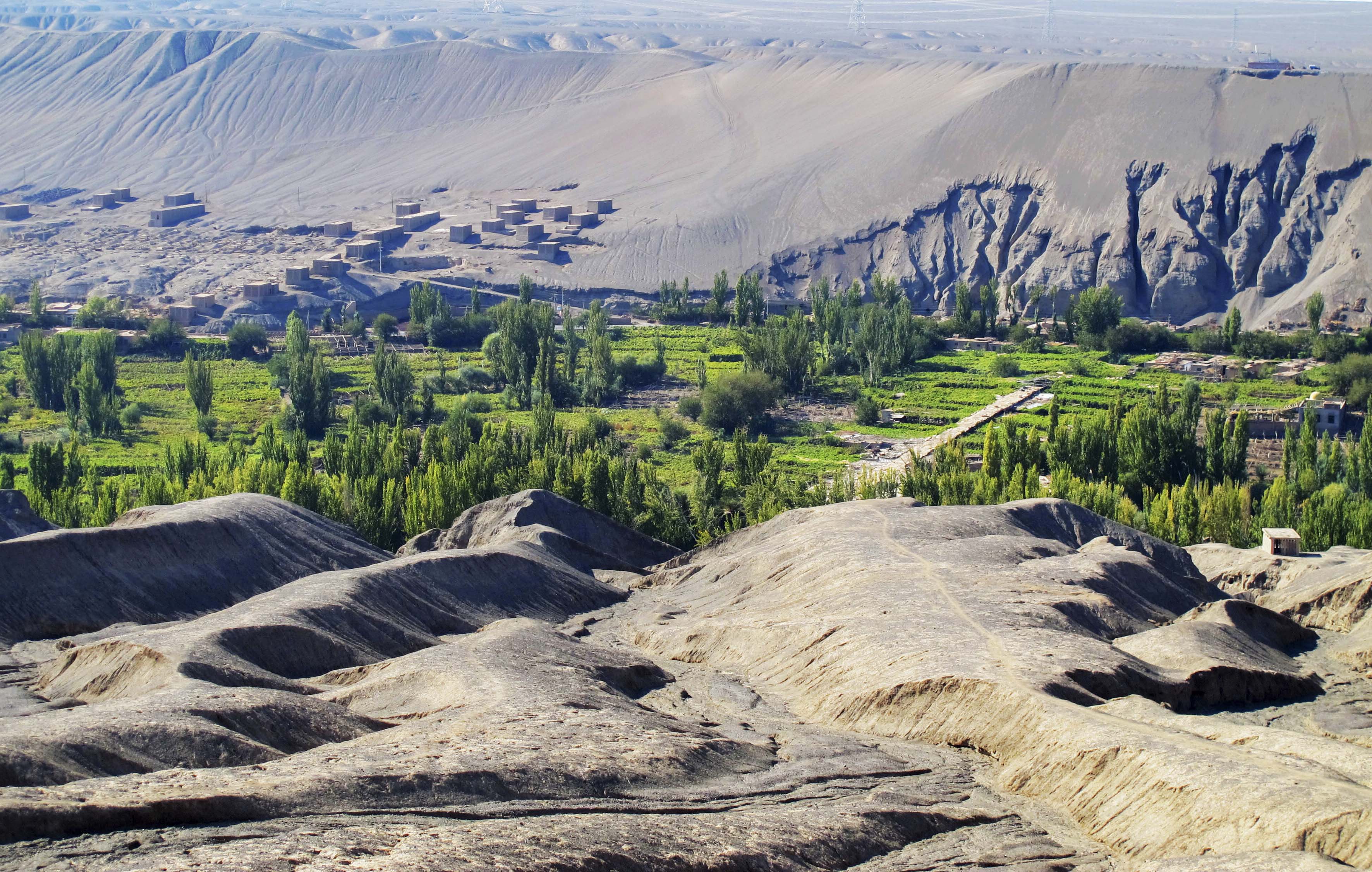 吐鲁番葡萄沟山水,新疆吐鲁番葡萄沟葡萄树的风景