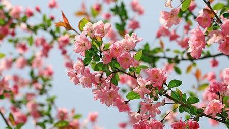 南唐宰相的一首怀人小词，脍炙人口，“风乍起，吹皱一池春水”