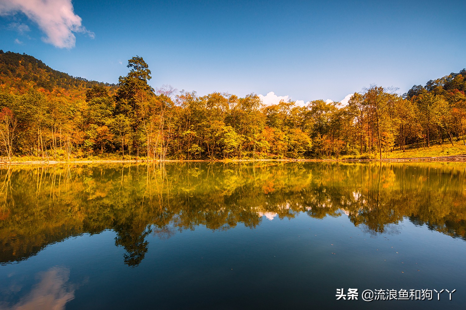 二郎山喇叭河看鹿,二郎山喇叭河看日出攻略