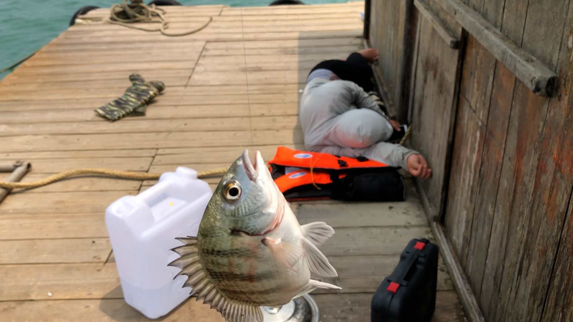 一个小伙钓鱼一年赚几十万,500块钱本钱钓鱼一个月能赚多少钱