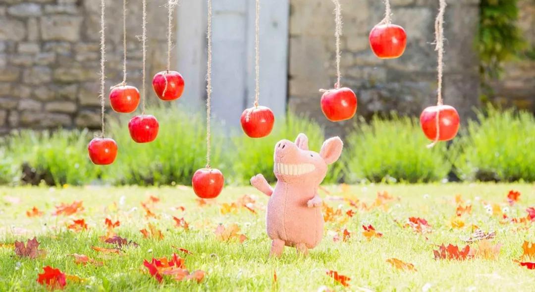 jellycat最好看的一款兔子,jellycat怎么养