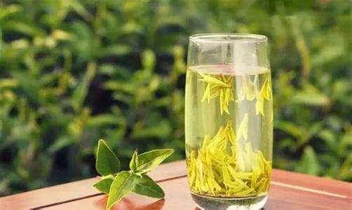 走进杭州带你了解真正的西湖龙井,西湖龙井怎样识别陈茶和新茶