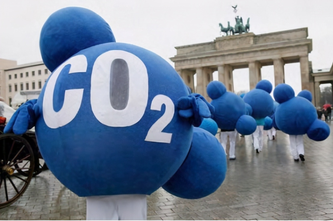 中国人吃一块肉,中国人吃肉对亚马逊雨林有影响