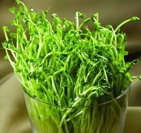 忆清明祖辈给我们留下了什么?