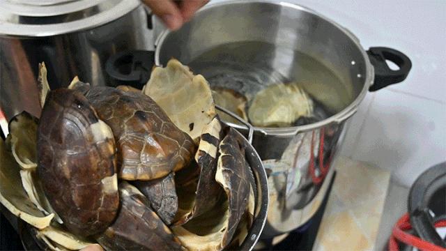 纯手工制作美食甜品,网红甜品推荐前十名制作方法