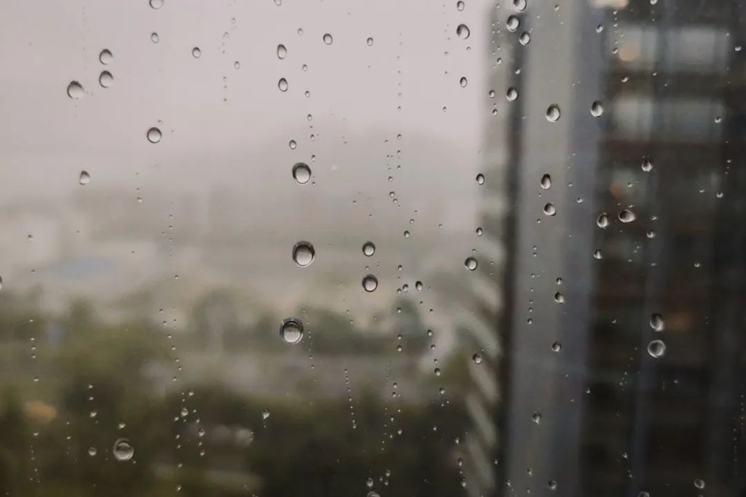 抗疫诗歌大展之十三｜在被管制的人间，梅花又悄悄开了