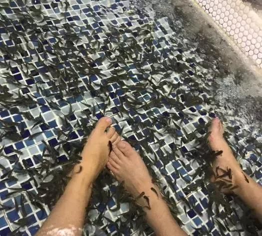 温都生态汤泉青岛攻略,青岛最舒服的周末消遣汤泉