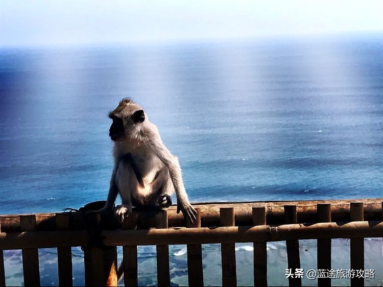 不能错过的海陆通之行,不能错过的旅行胜地