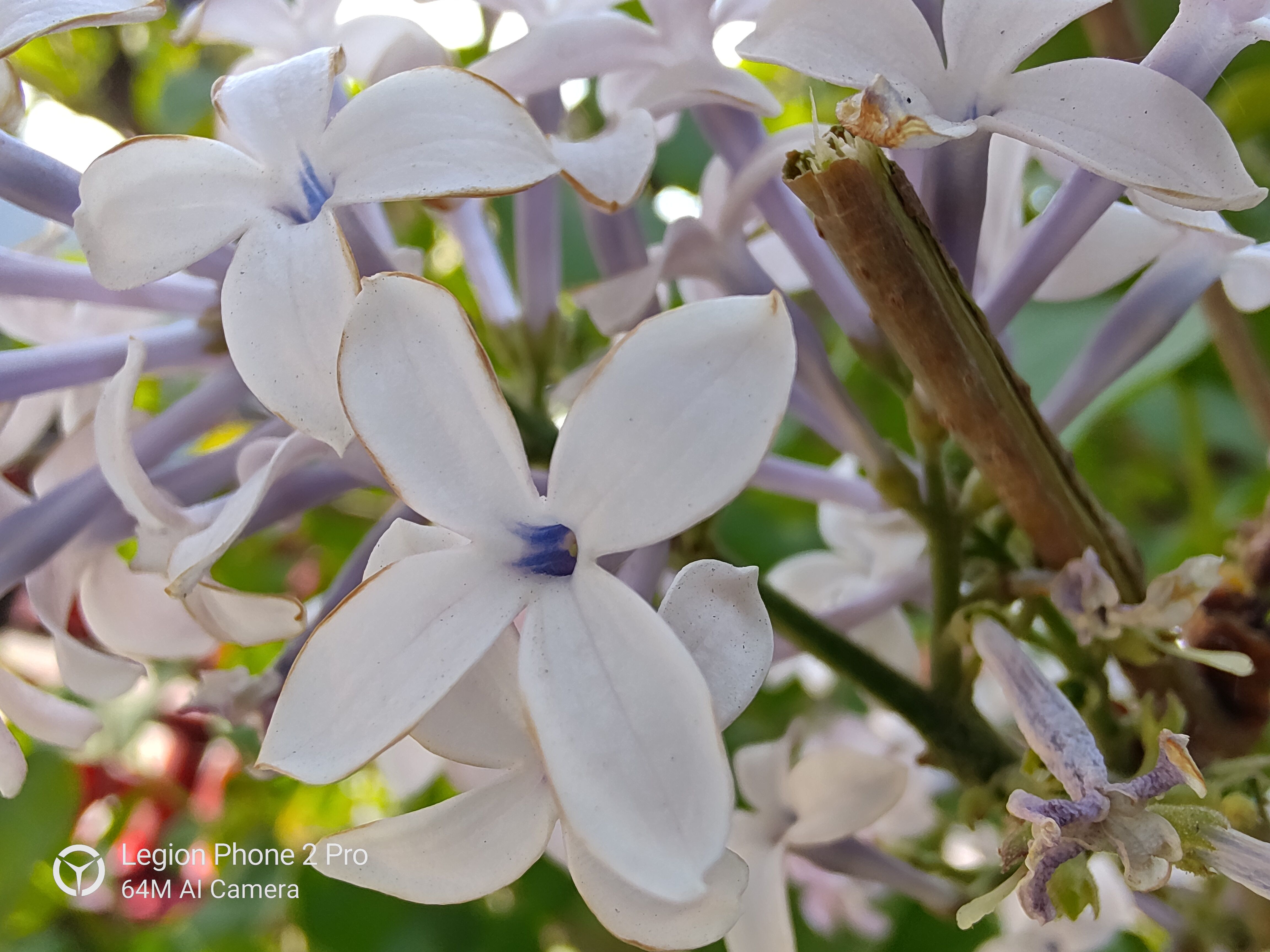 拯救者电竞手机2pro深度测评,拯救者电竞手机2pro18g512出售